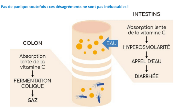 vitamine C et troubles osmotiques intestinaux